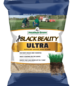 Jonathan Green Black Beauty® Ultra Grass Seed